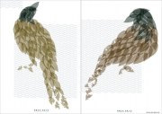 汤雅莉作品