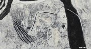 杨扬作品