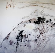 杨扬作品