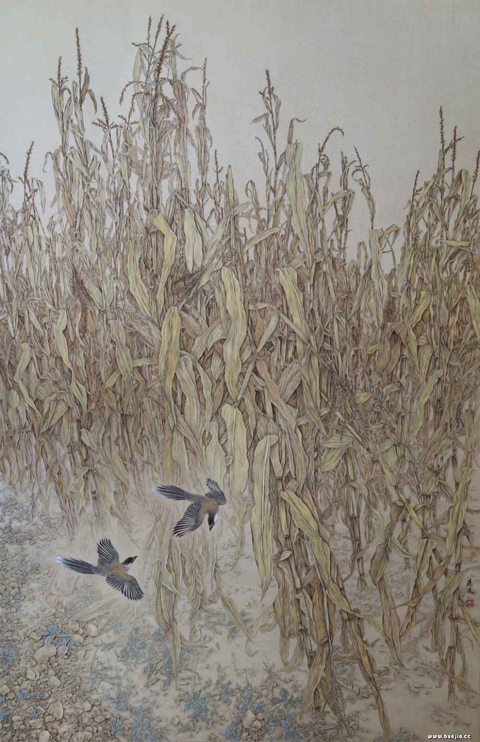 9中国艺术研究院研究生院李魁正花鸟画工作室花鸟画研修无 2013.