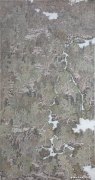 王坤作品