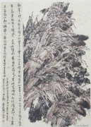娄晓波作品