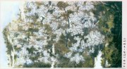 申青林作品