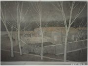 崔振杰作品