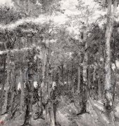 沈舜安作品