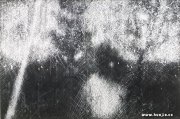 金洪钢作品