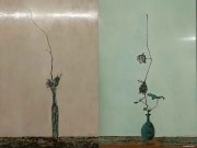陈怡作品