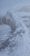赵明明作品