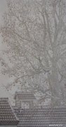 赵明明作品