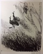 陈治良作品