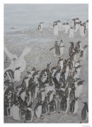 朱雪华作品