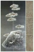 杨章进作品