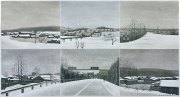 宋雨树作品