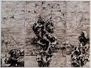 苏云龙作品