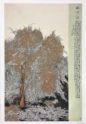 岑建锋作品