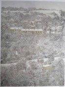 岑建锋作品