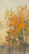 张晓露作品