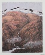 郑华丰作品