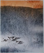 田孝军作品