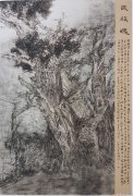 孙涛作品