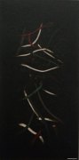 林晓红作品