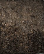 秦仁强作品