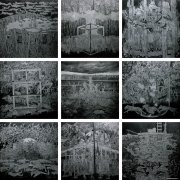 彭苑作品
