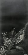 薛绍雄作品