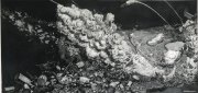 薛绍雄作品