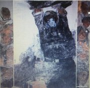 杨娟作品