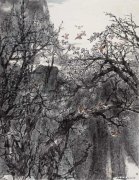 吴济民作品