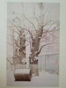 陈建平作品