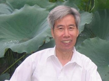 画家 林丰俗