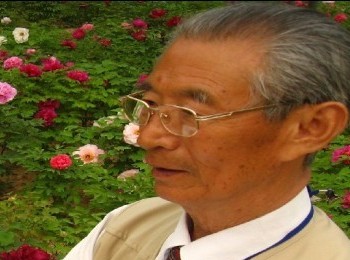 画家 傅连友