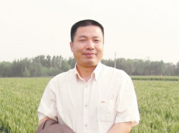 画家 金增友