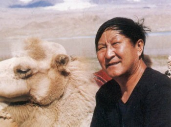 画家 李保民