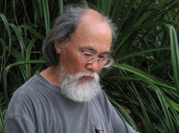画家 陈新华