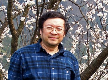 画家 林木