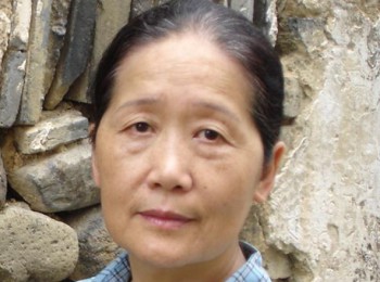 画家 凌启宁