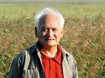 画家 晁楣