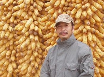 画家 陈书文