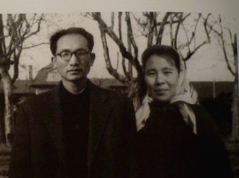 画家 沈之瑜