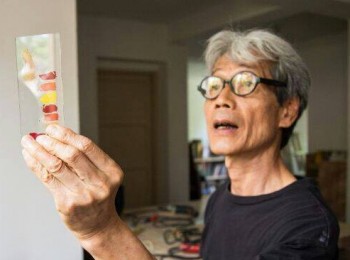 画家 郑力为