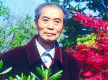 画家 金家骐