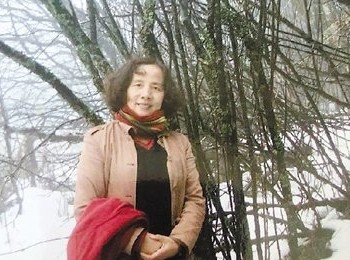 画家 李雅芳