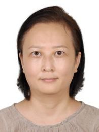 画家 赵红