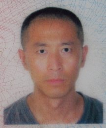 画家 牟华军