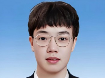 大画家 王子彬